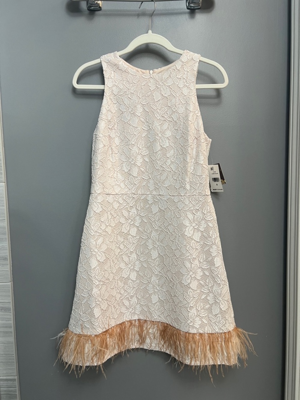 Taylor Blush Lace A-Line Dress with Feather Hem